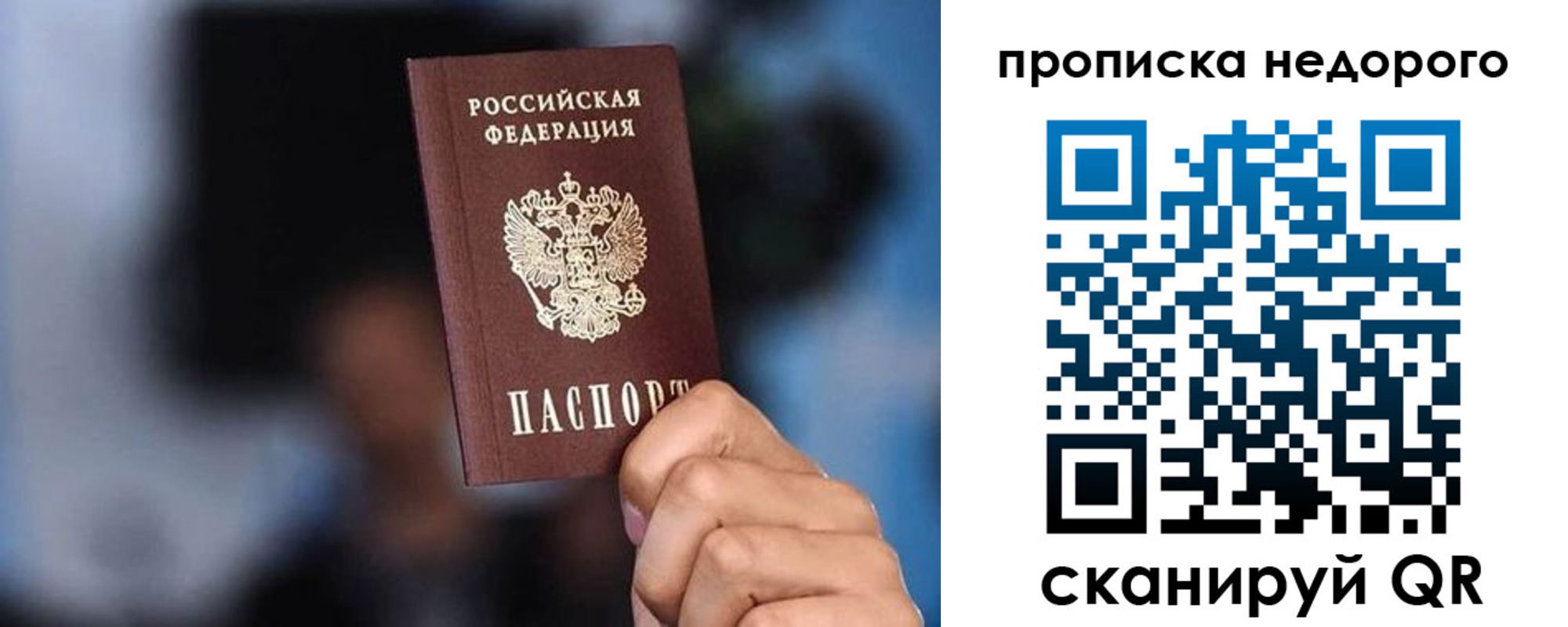 временная регистрация поиск в Курской области